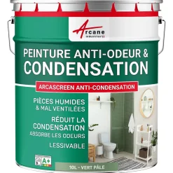 Peinture anti-condensation, anti odeur pour pièces humides Vert Pâle - RAL 6021 - 10 L -^Arcane Industries Hot