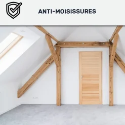 Peinture anti-condensation, anti odeur pour pièces humides Vert jonc - RAL 6013 - 10 L -^Arcane Industries Discount