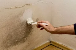 PEINTURE ANTI-HUMIDITE 3L - Primaire et finition hydrofuge -^Comus Sale