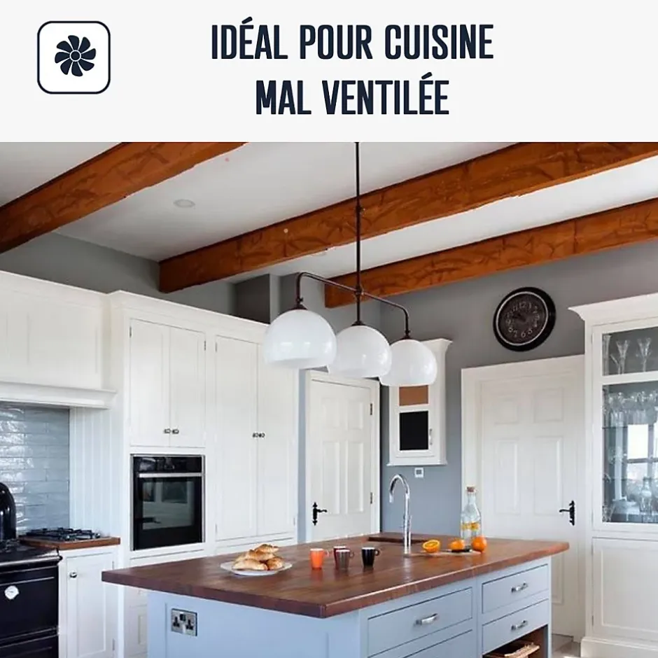 Peinture cuisine lavable, mur et plafond Blanc Crème - 10 L -^Arcane Industries Clearance