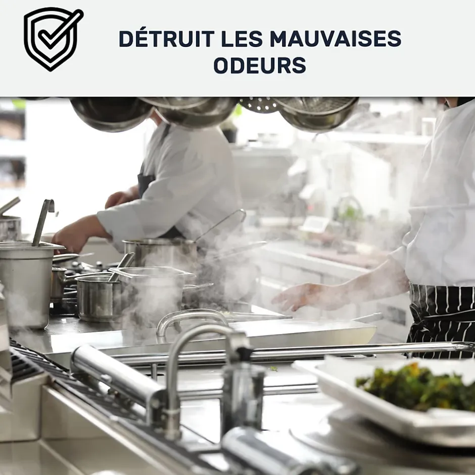 Peinture cuisine lavable, mur et plafond Blanc Crème - 10 L -^Arcane Industries Clearance