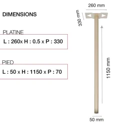 Pied elliptique Ivoire brillant RAL 1015B-Renz Discount