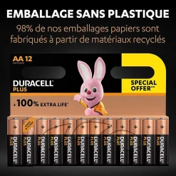 Pile alcaline AA (LR6) Plus, lot de 12^Duracell Outlet