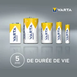 Pile alcaline AA (LR6) , lot de 24^Varta Discount