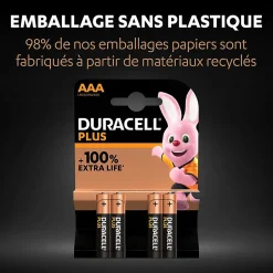 Pile alcaline AAA (LR03) Plus, lot de 4^Duracell Sale