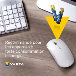 Pile alcaline AAA (LR03) Long-life Power D, lot de 4^Varta Clearance