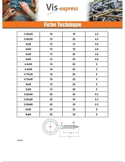 Piton Bois 2.5X10 Oeil 6 Acier zingué ROUILLES - 10 pièces-Vis Express Discount