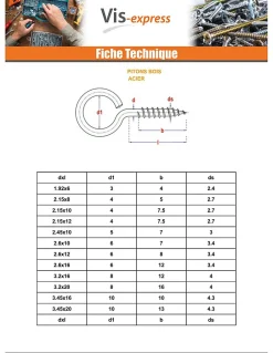 Piton Bois 2.5X10 Oeil 6 Acier zingué ROUILLES - 1 pièce^Vis Express