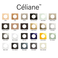 Plaque de finition 2 postes Céliane CP0122 coloris noir mat l.161 x P.9 x H.82 mm^Legrand