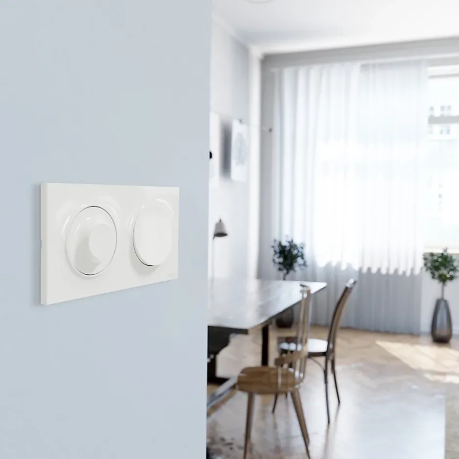 Plaque de finition 2 postes Odace Styl S520704 coloris blanc l.156 x P.10 x H.85 mm^Schneider Electric Sale