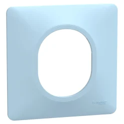 Plaque de finition 1 poste Ovalis S320702C coloris bleu azurin l.87 x P.10 x H.87 mm-Schneider Electric Clearance