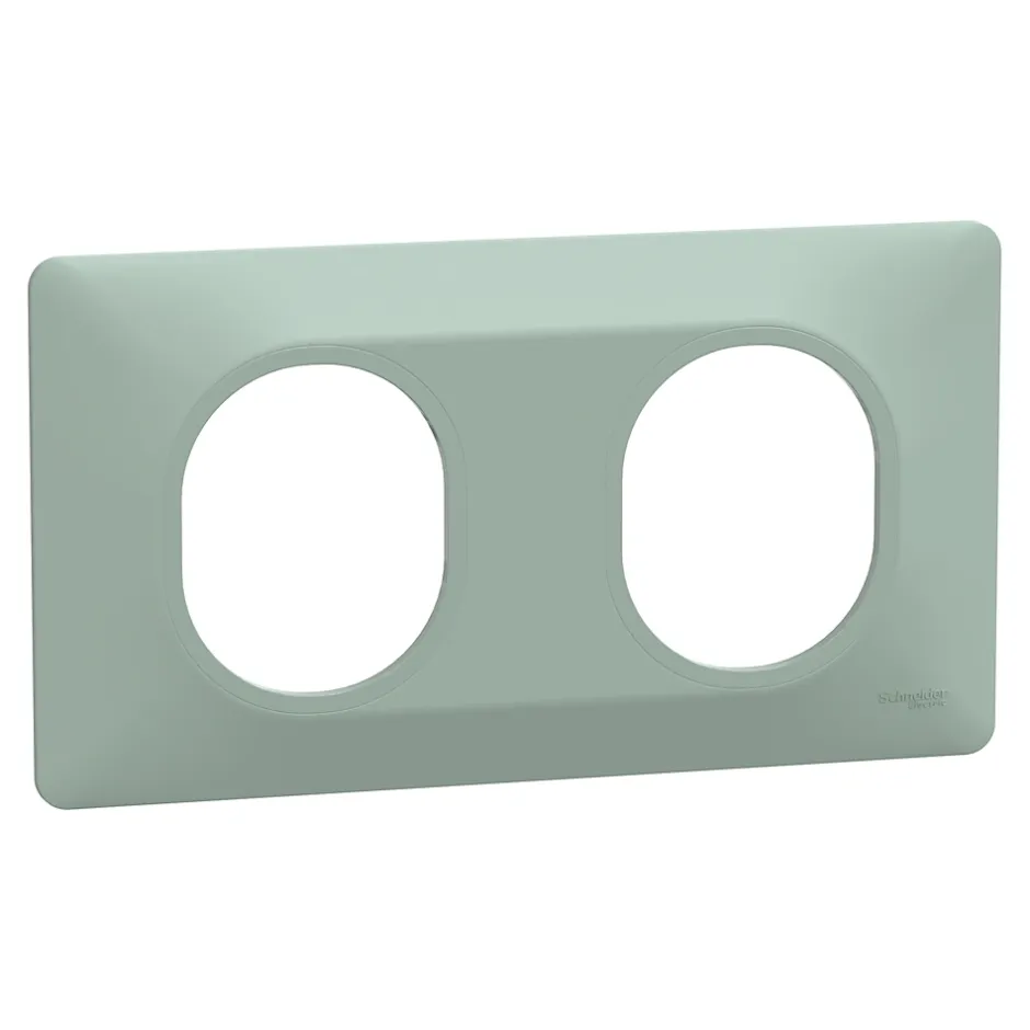 Plaque de finition 2 postes Ovalis S320704A coloris sauge l.158 x P.10 x H.87 mm^Schneider Electric Sale
