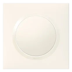 Plaque de finition 1 poste Dooxie 6 009 01 coloris blanc l.87 x P.10 x H.87 mm^Legrand Clearance