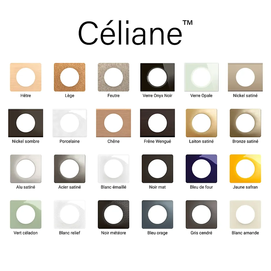 Plaque de finition 1 poste Céliane CP2001 coloris verre opale blanc l.101 x P.11 x H.84 mm^Legrand