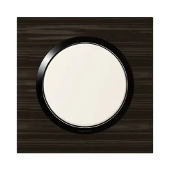 Plaque de finition 1 poste Dooxie 6 008 81 coloris bois ébène avec bague noire brillante l.87 x P.10 x H.87 mm-Legrand Best