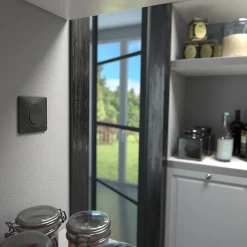 Plaque de finition 1 poste Ovalis S340702E coloris anthracite avec liseré laiton l.87 x P.10 x H.87 mm^Schneider Electric Sale