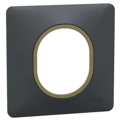 Plaque de finition 1 poste Ovalis S340702E coloris anthracite avec liseré laiton l.87 x P.10 x H.87 mm^Schneider Electric Sale