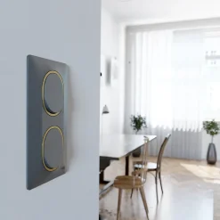 Plaque de finition 1 poste Ovalis S340702E coloris anthracite avec liseré laiton l.87 x P.10 x H.87 mm^Schneider Electric Sale