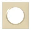 Plaque de finition 1 poste Dooxie 6 008 11 coloris dune mat avec bague dune brillante l.87 x P.10 x H.87 mm-Legrand Outlet