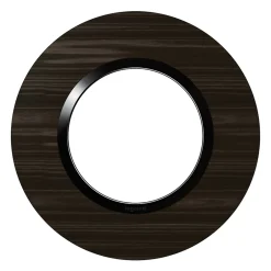 Plaque de finition 1 poste Dooxie 6 009 79 coloris bois ébène avec bague noire brillante l.100 x P.10 x H.100 mm^Legrand Hot