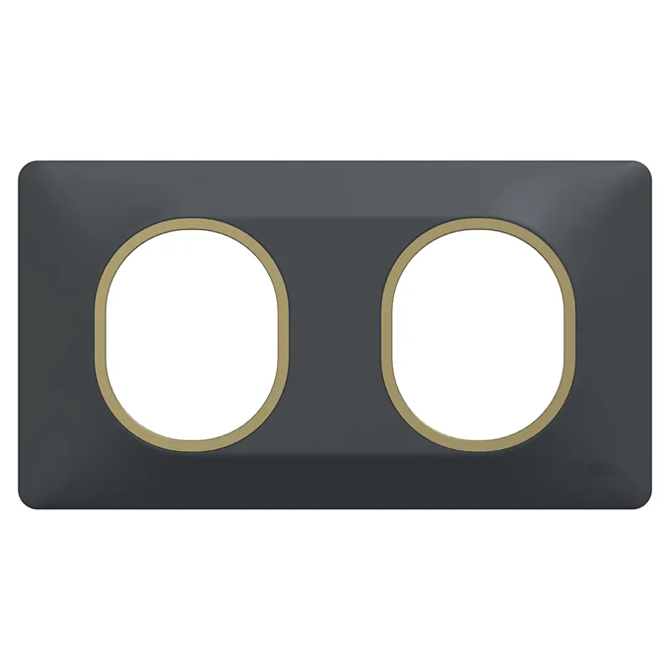 Plaque de finition 2 postes Ovalis S340704E coloris anthracite avec liseré laiton l.158 x P.10 x H.87 mm-Schneider Electric Discount