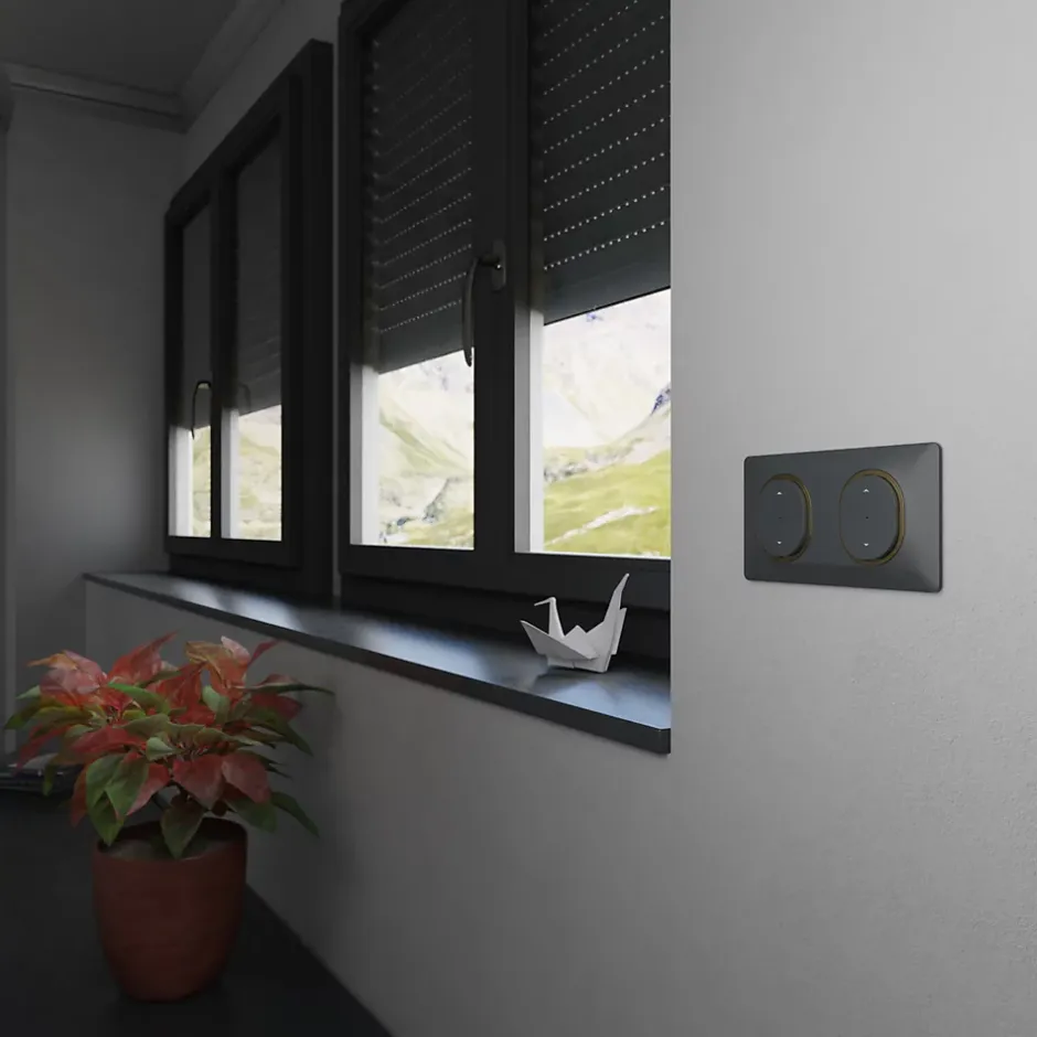 Plaque de finition 2 postes Ovalis S340704E coloris anthracite avec liseré laiton l.158 x P.10 x H.87 mm-Schneider Electric Discount