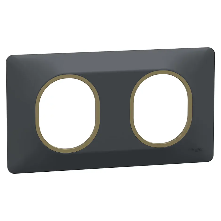 Plaque de finition 2 postes Ovalis S340704E coloris anthracite avec liseré laiton l.158 x P.10 x H.87 mm-Schneider Electric Discount