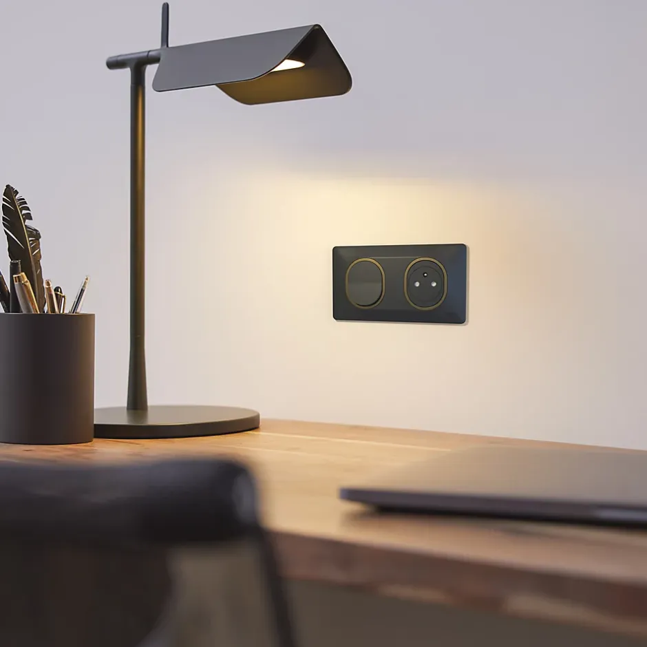 Plaque de finition 2 postes Ovalis S340704E coloris anthracite avec liseré laiton l.158 x P.10 x H.87 mm-Schneider Electric Discount