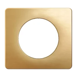 Plaque de finition 1 poste Céliane CP1221 coloris laiton satiné l.90 x P.9 x H.82 mm^Legrand Clearance