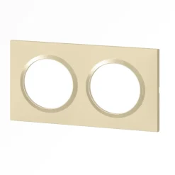 Plaque de finition 2 postes Dooxie 6 008 12 coloris dune mat avec bague dune brillante l.158 x P.10 x H.87 mm-Legrand Discount