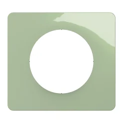Plaque de finition 1 poste Céliane CP0521 coloris vert céladon l.90 x P.9 x H.82 mm^Legrand Online