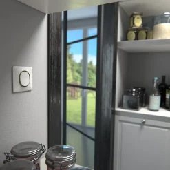 Plaque de finition 1 poste Ovalis S320702D coloris blanc avec liseré laiton l.87 x P.10 x H.87 mm-Schneider Electric Hot