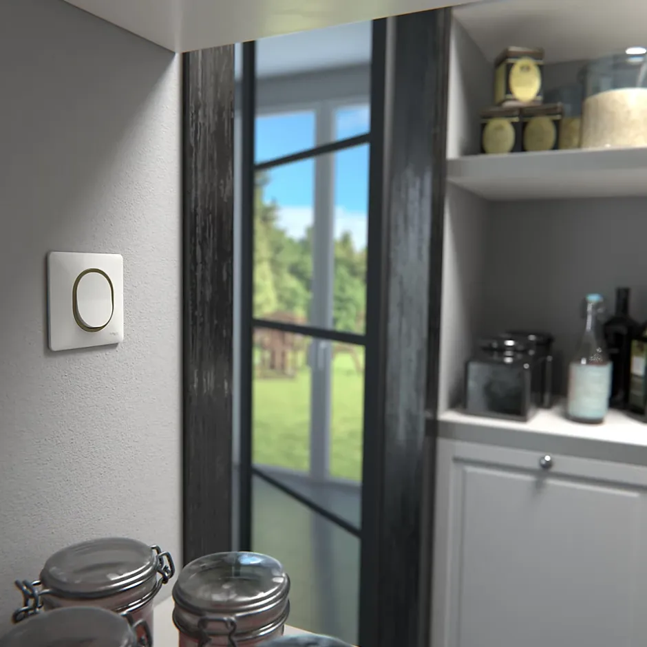 Plaque de finition 1 poste Ovalis S320702D coloris blanc avec liseré laiton l.87 x P.10 x H.87 mm-Schneider Electric Hot