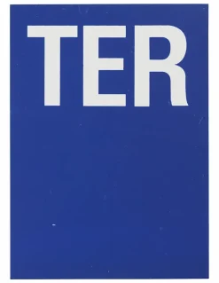 Plaque de signalisation TER, marquage blanc sur fond bleu, panneau PVC adhésif, 65x90mm -^Thirard Discount