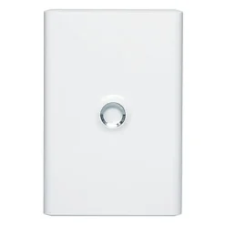 Porte blanche pour coffret 2 rangées DRIVIA-Legrand New