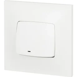 Poussoir lumineux Neptune plastique blanc-Legrand Discount