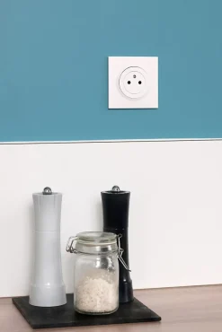 Prise avec terre affleurante Dooxie blanc carrée-Legrand Discount