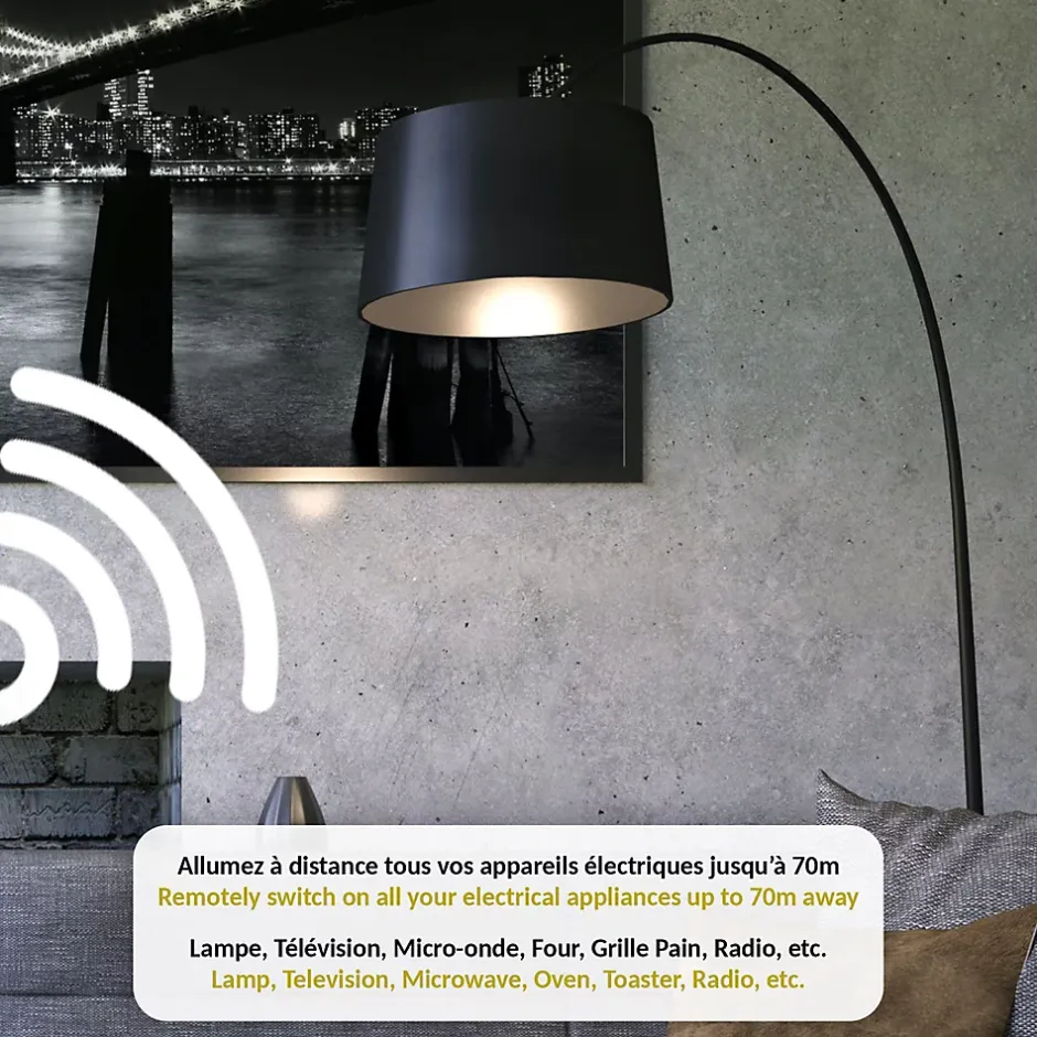 Prise commandable à distance Avec Interrupteur^Fishtec Outlet