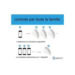 Prise connectée application tuya smart life contrôle de consommation Compatible avec Alexa/Google Home^Somlife Discount