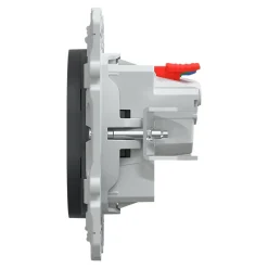 Prise de courant 2 pôles + terre affleurante avec griffes  Ovalis anthracite-Schneider Electric Outlet