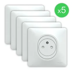 Prise de courant avec terre affleurante complète Ovalis blanc, lot de 5-Schneider Electric Best
