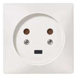 Prise de courant avec terre 20 A-Legrand Best