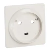 Prise de courant avec terre 32 A^Legrand