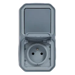 Prise et interrupteur Plexo gris en saillie^Legrand Outlet