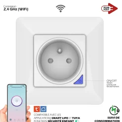Prise intérieure encastrée 3000W connectée Wifi + Suivi de consommation^Kyf Sale