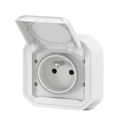 Prise Plexo blanc à griffes 220V^Legrand New