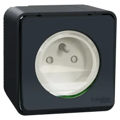 Prise de courant 2 pôles + terre étanche complète saillie Mureva Styl anthracite-Schneider Electric Best