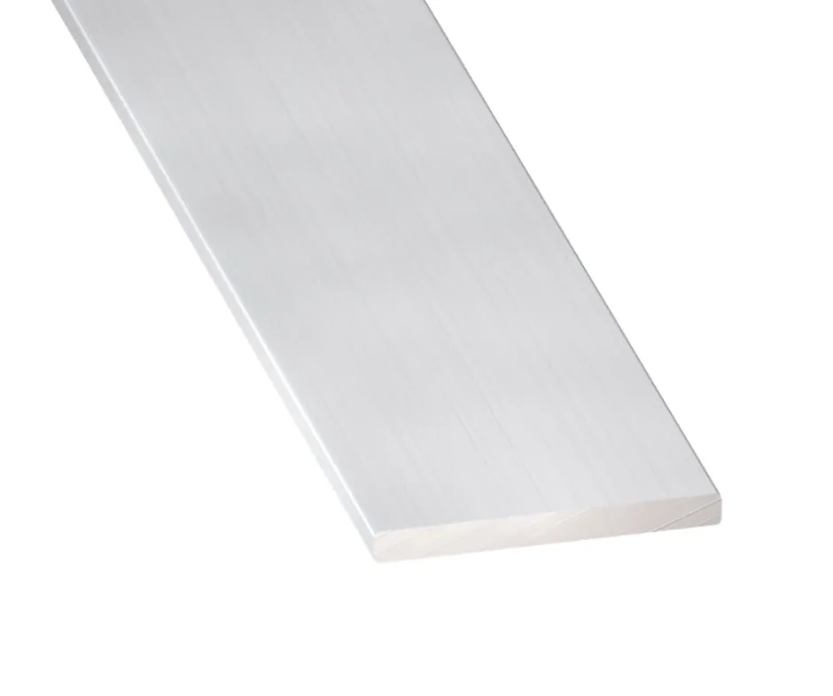 Profilé plat aluminium anodisé 60 x 3 mm, L. 2 m-CQFD