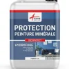Protection & Imperméabilisant peinture argile & chaux - DECOPROTECT - 2.5 L --Arcane Industries Hot