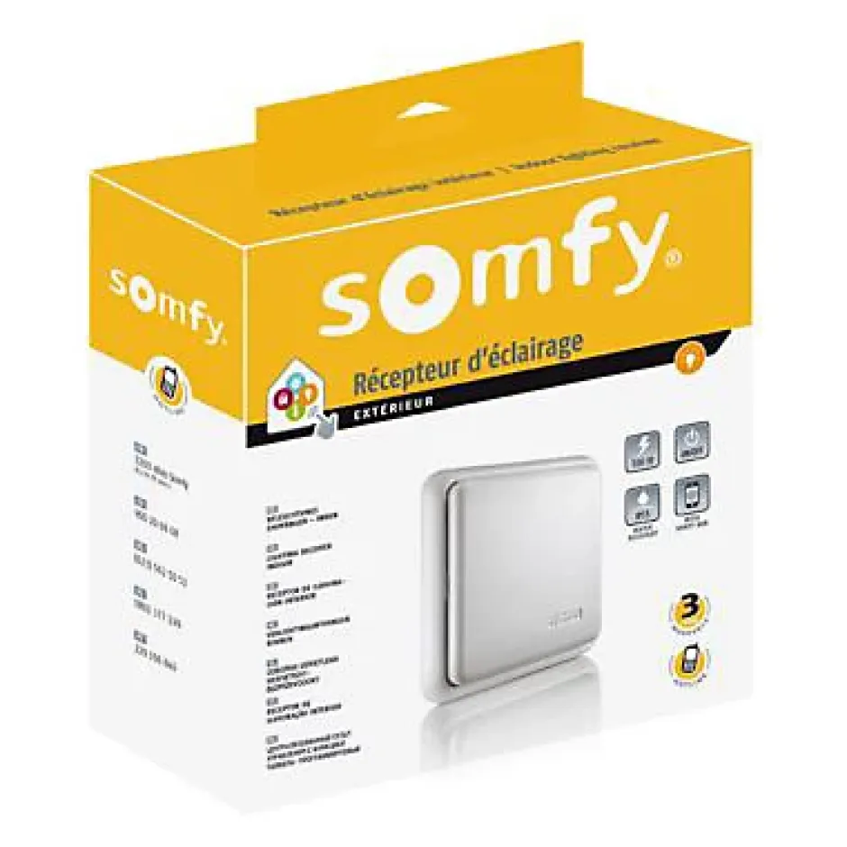 Récepteur radio 2400583 pour commande d'éclairage-Somfy Sale